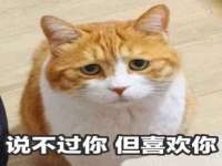 宿迁智贝商贸有限公司