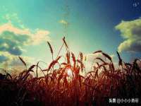 宿迁智贝商贸有限公司