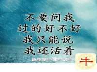 宿迁智贝商贸有限公司
