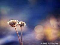 宿迁智贝商贸有限公司
