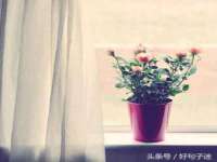 宿迁智贝商贸有限公司