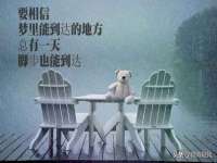 宿迁智贝商贸有限公司