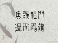 宿迁智贝商贸有限公司