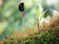 宿迁智贝商贸有限公司