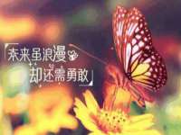 宿迁智贝商贸有限公司