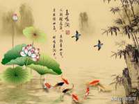 宿迁智贝商贸有限公司