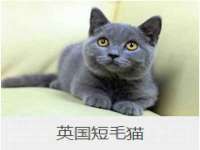 宿迁智贝商贸有限公司