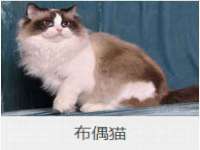 宿迁智贝商贸有限公司