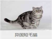 宿迁智贝商贸有限公司