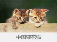 宿迁智贝商贸有限公司