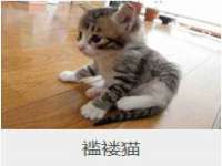 宿迁智贝商贸有限公司