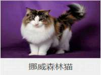 宿迁智贝商贸有限公司
