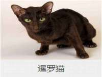 宿迁智贝商贸有限公司