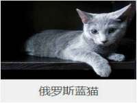 宿迁智贝商贸有限公司