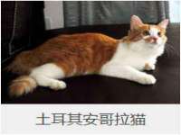 宿迁智贝商贸有限公司