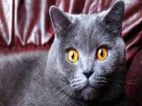 宿迁智贝商贸有限公司