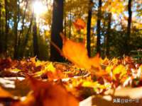 宿迁智贝商贸有限公司