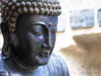 宿迁智贝商贸有限公司