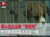 宿迁智贝商贸有限公司