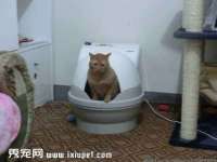 宿迁智贝商贸有限公司