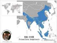 宿迁智贝商贸有限公司