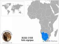 宿迁智贝商贸有限公司