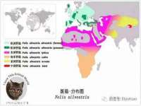 宿迁智贝商贸有限公司