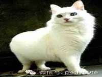宿迁智贝商贸有限公司