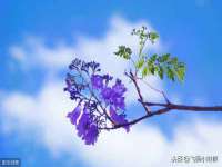 宿迁智贝商贸有限公司