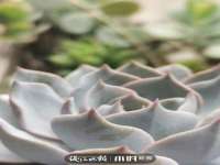 宿迁智贝商贸有限公司