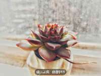 宿迁智贝商贸有限公司