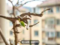 宿迁智贝商贸有限公司