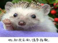 宿迁智贝商贸有限公司