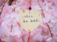 宿迁智贝商贸有限公司