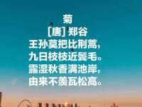 宿迁智贝商贸有限公司