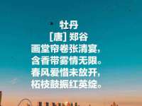 宿迁智贝商贸有限公司