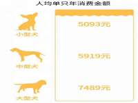 宿迁智贝商贸有限公司