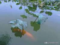宿迁智贝商贸有限公司