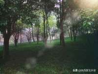 宿迁智贝商贸有限公司