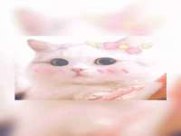 宿迁智贝商贸有限公司
