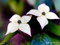 宿迁智贝商贸有限公司