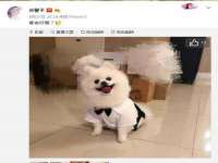 宿迁智贝商贸有限公司