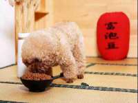 宿迁智贝商贸有限公司