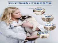 宿迁智贝商贸有限公司
