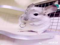 宿迁智贝商贸有限公司