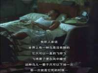 宿迁智贝商贸有限公司