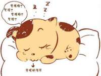 宿迁智贝商贸有限公司