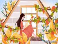 宿迁智贝商贸有限公司