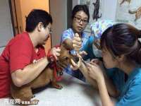 宿迁智贝商贸有限公司