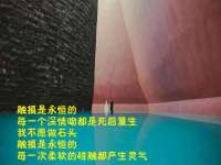 宿迁智贝商贸有限公司